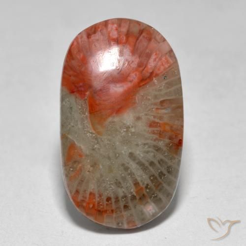 7.97 ct Multicolor Coral Stone, Natural Coral in Oval Cabochon Shape for Sale