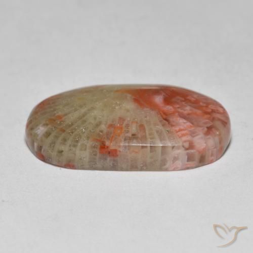 Coral Gemstone in 18.9 x 11.1 mm Size for Sale, Coral Stone in Multicolor Color