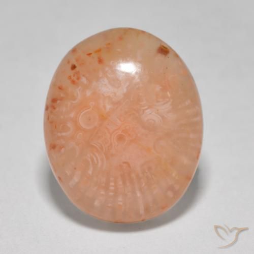 8.68ct Natural Multicolor Coral, Oval, Translucent, Photo A