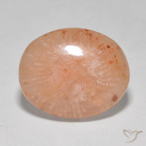8.68 ct Multicolor Coral Stone, Natural Coral in Oval Cabochon Shape for Sale