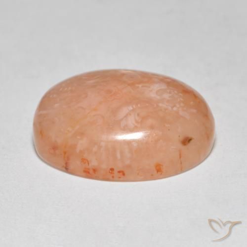 Coral Gemstone in 15.5 x 12.7 mm Size for Sale, Coral Stone in Multicolor Color