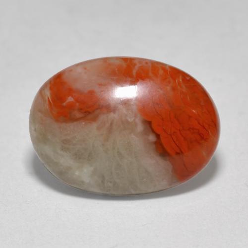 4.58ct Oval Cabochon Multicolor Coral from Indonesia, Dimension 14.1 x 10.3mm, Translucent Clarity, Natural untreated gemstone, 1pc Coral in Multicolor Color, Mohs Hardness of 3 - 4, Photo A