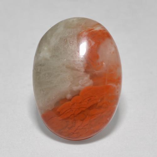 4.58 ct Multicolor Coral Stone, Natural Coral in Oval Cabochon Shape for Sale