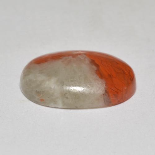 Coral Gemstone in 14 x 10 mm (calibrated) Size for Sale, Coral Stone in Multicolor Color