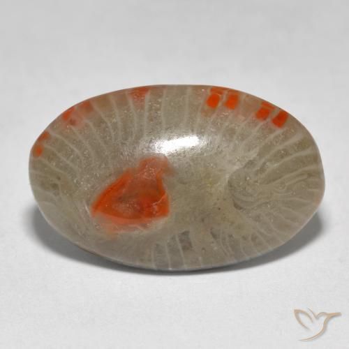 9.31ct Natural Multicolor Coral, Oval, Translucent, Photo A