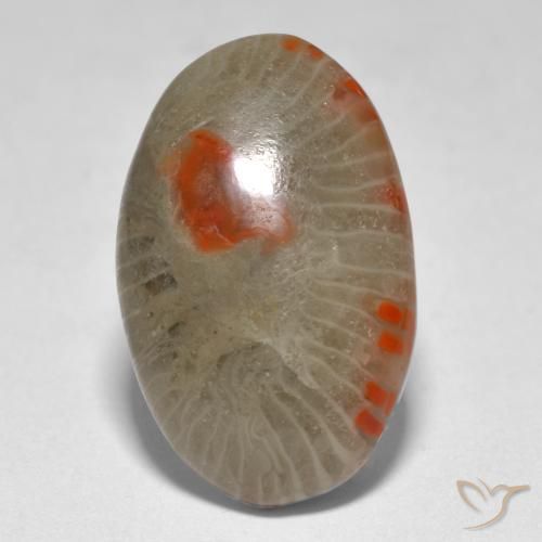 9.31 ct Multicolor Coral Stone, Natural Coral in Oval Cabochon Shape for Sale