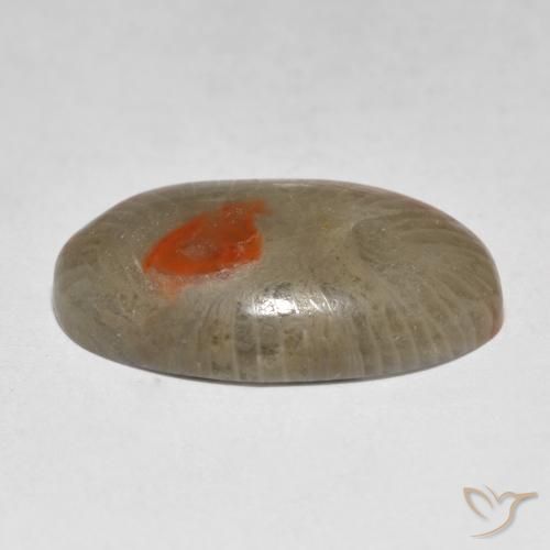 Coral Gemstone in 19.3 x 12.1 mm Size for Sale, Coral Stone in Multicolor Color