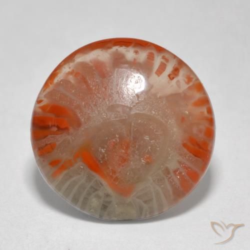 5.76 ct Round Coral, 13.3 mm From Indonesia, Photo A