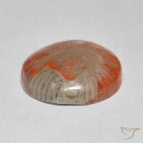 Coral Gemstone in 13 mm (calibrated) Size for Sale, Coral Stone in Multicolor Color