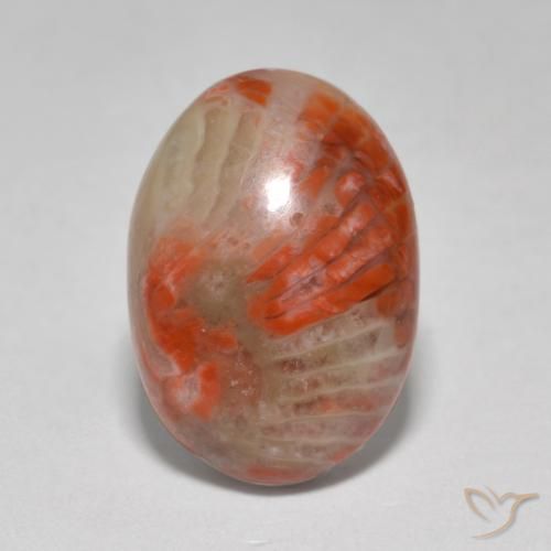 6.07ct Natural Multicolor Coral, Oval, Translucent