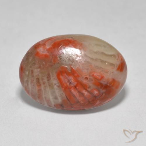 6.07 ct Multicolor Coral Stone, Natural Coral in Oval Cabochon Shape for Sale