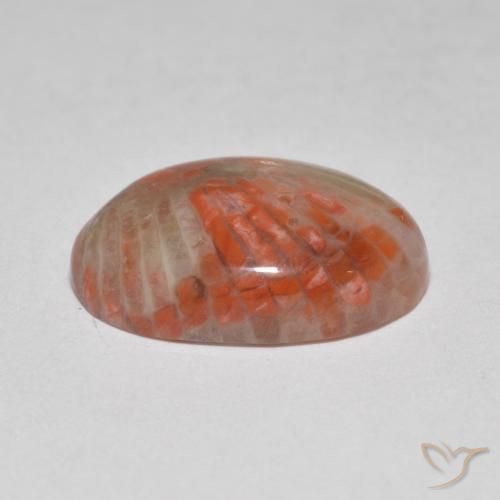 Coral Gemstone in 15.2 x 10.7 mm Size for Sale, Coral Stone in Multicolor Color