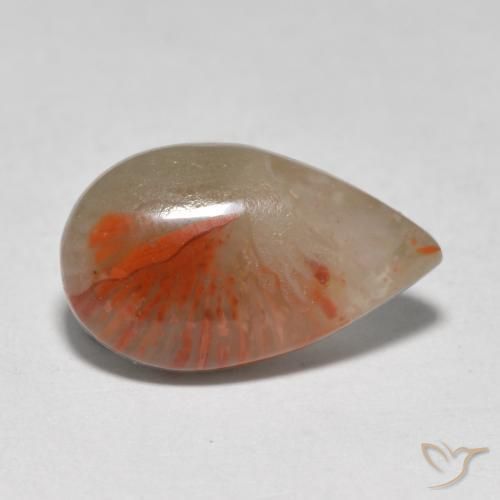 4.61 ct Multicolor Coral Stone, Natural Coral in Pear Cabochon Shape for Sale