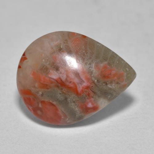 Multicolor Coral Gem - 3.6ct Pear Cabochon (ID: 565985)
