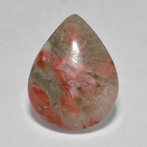 3.60 ct Multicolor Coral Stone, Natural Coral in Pear Cabochon Shape for Sale