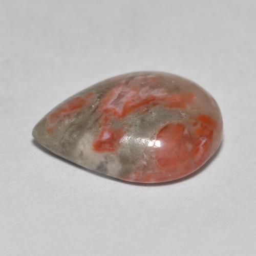 Coral Gemstone in 12.8 x 10 mm Size for Sale, Coral Stone in Multicolor Color