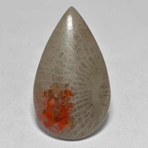 Multicolor Coral Gem - 10.7ct Pear Cabochon (ID: 565987)