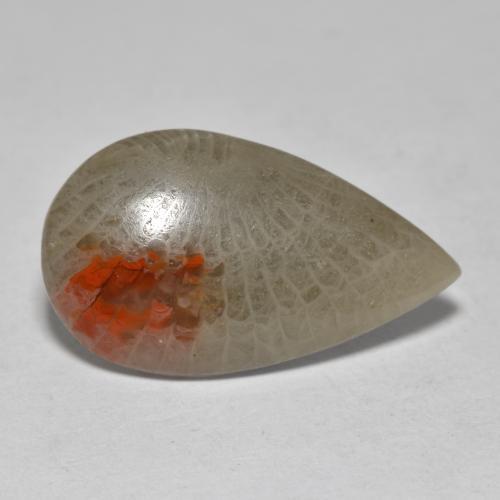 10.70 ct Multicolor Coral Stone, Natural Coral in Pear Cabochon Shape for Sale