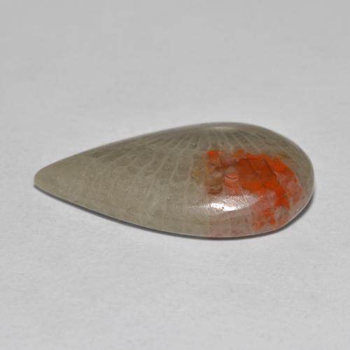 Coral Gemstone in 23.6 x 13.9 mm Size for Sale, Coral Stone in Multicolor Color