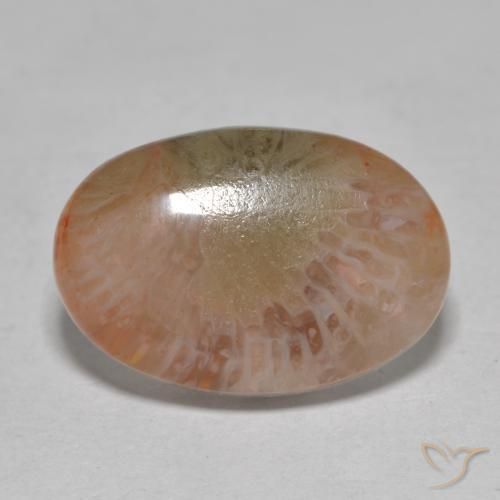 7.25ct Natural Multicolor Coral, Oval, Translucent