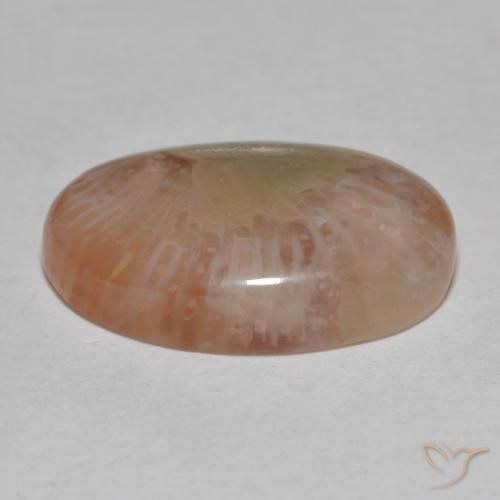 Coral Gemstone in 16.8 x 11.5 mm Size for Sale, Coral Stone in Multicolor Color