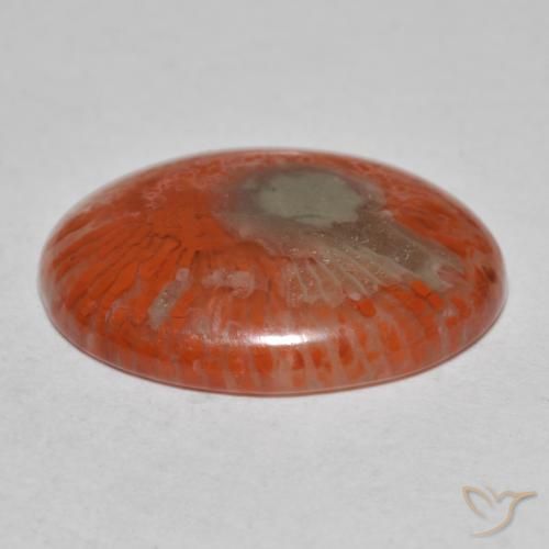 Coral Gemstone in 18.9 x 14.4 mm Size for Sale, Coral Stone in Multicolor Color