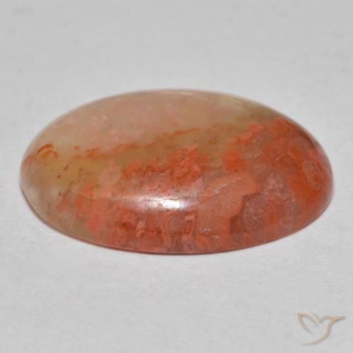 Coral Gemstone in 18 x 13 mm (calibrated) Size for Sale, Coral Stone in Multicolor Color