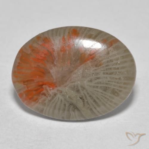 4.11 ct Multicolor Coral Gemstone, Coral Gem in Oval Cabochon Shape for Sale.
