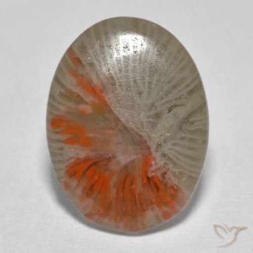 4.11 ct Multicolor Coral Stone, Natural Coral in Oval Cabochon Shape for Sale