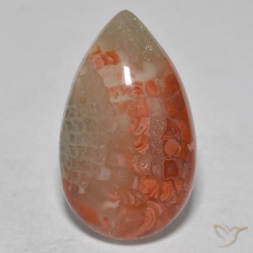 米国製6,49カラットペアーカボションサンゴ、寸法17,1 x 10,3 mm、半透明クラリティ、天然のジェムストーン、マルチカラー1pcサンゴ、モース硬度3 - 4, Photo A