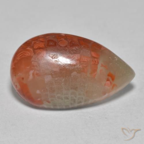 6.49 ct Multicolor Coral Stone, Natural Coral in Pear Cabochon Shape for Sale