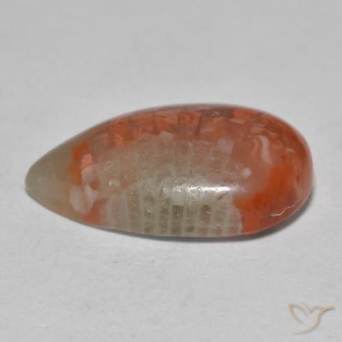 Coral Gemstone in 17.1 x 10.3 mm Size for Sale, Coral Stone in Multicolor Color