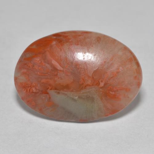 Multicolor Coral Gem - 6.7ct Oval Cabochon (ID: 565996)