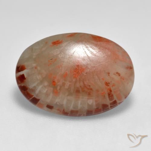 6.24ct Natural Multicolor Coral, Oval, Translucent
