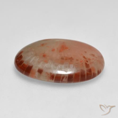 Coral Gemstone in 16.7 x 11.8 mm Size for Sale, Coral Stone in Multicolor Color