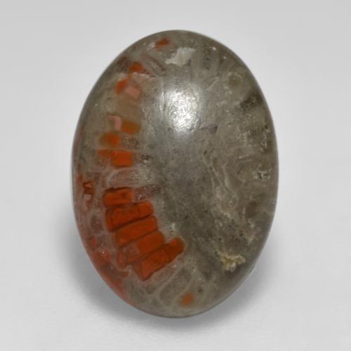 Multicolor Coral Gem - 6.5ct Oval Cabochon (ID: 566211)