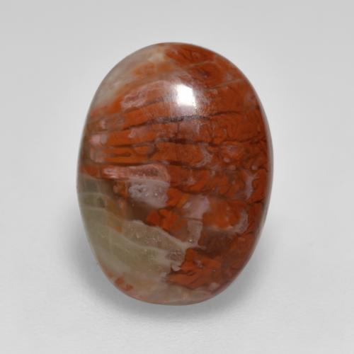 Multicolor Coral Gem - 4.1ct Oval Cabochon (ID: 566212)