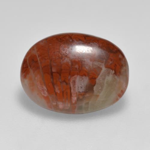 4.12 ct Multicolor Coral Stone, Natural Coral in Oval Cabochon Shape for Sale