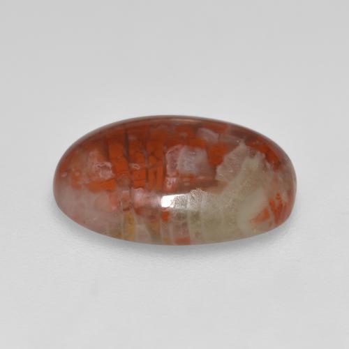 Coral Gemstone in 14 x 10 mm (calibrated) Size for Sale, Coral Stone in Multicolor Color
