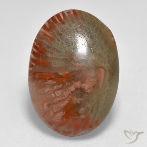 8.55ct Natural Multicolor Coral, Oval, Translucent