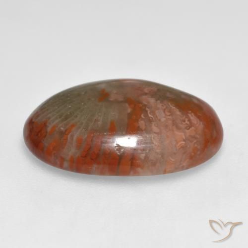 Coral Gemstone in 18 x 13 mm (calibrated) Size for Sale, Coral Stone in Multicolor Color