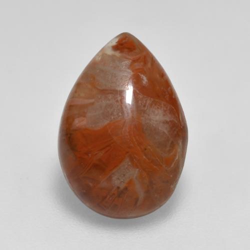 Multicolor Coral Gem - 3.6ct Pear Cabochon (ID: 566214)