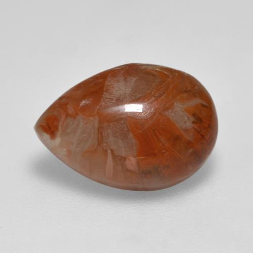 3.56 ct Multicolor Coral Stone, Natural Coral in Pear Cabochon Shape for Sale