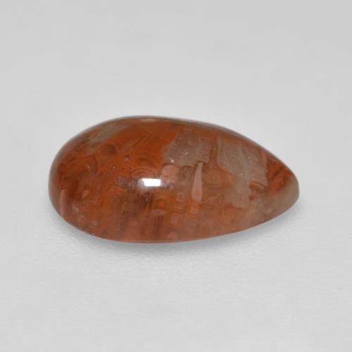 Coral Gemstone in 13 x 9 mm (calibrated) Size for Sale, Coral Stone in Multicolor Color