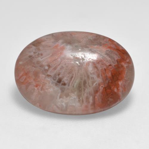 7.40 ct Multicolor Coral Stone, Natural Coral in Oval Cabochon Shape for Sale
