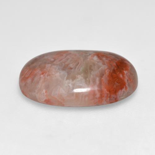 Coral Gemstone in 17.4 x 12.1 mm Size for Sale, Coral Stone in Multicolor Color