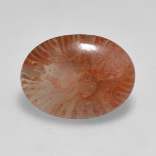 3.76 ct Multicolor Coral Gemstone, Coral Gem in Oval Cabochon Shape for Sale.
