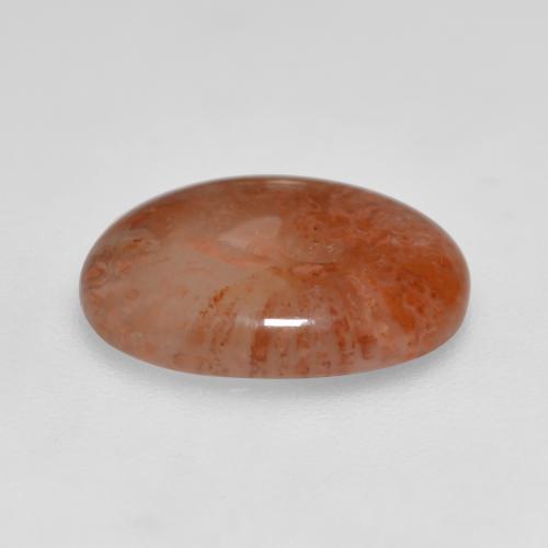 Coral Gemstone in 13.4 x 9.9 mm Size for Sale, Coral Stone in Multicolor Color