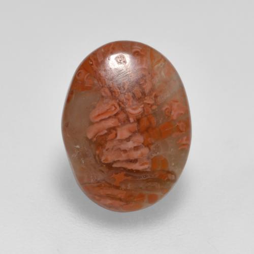 Многоцветный Коралл Камень - 2.5ct Овал Кабошон (ID: 566218)