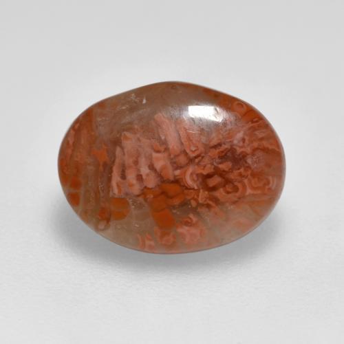 2.52 ct Multicolor Coral Stone, Natural Coral in Oval Cabochon Shape for Sale